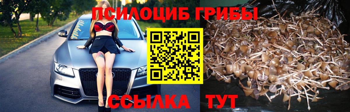 Псилоцибиновые грибы ЛСД Шелехов