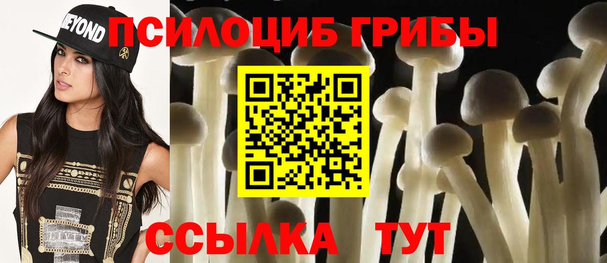 Псилоцибиновые грибы MAGIC MUSHROOMS  Вход с VPN  хочу   Шелехов 